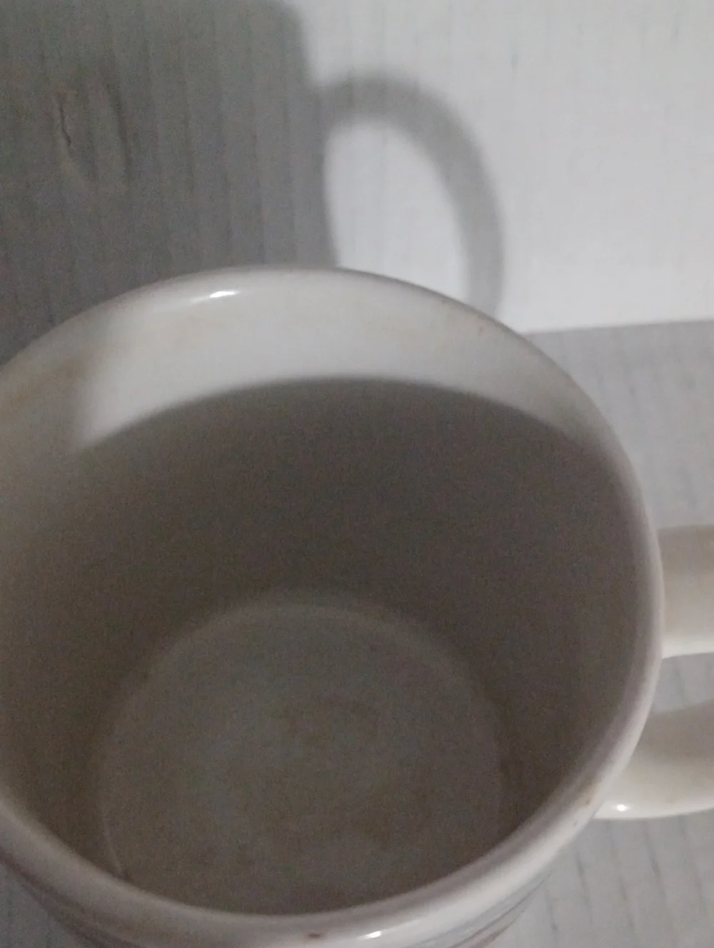 Vintage Mallard Coffee Cup